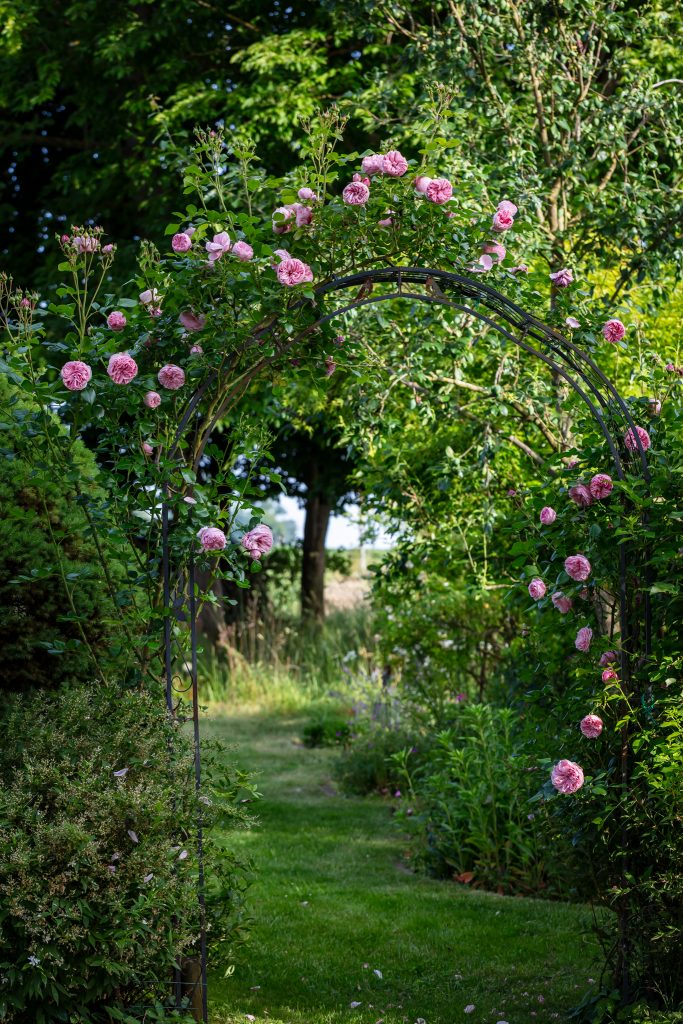 Rosenbogen mit Blick in den Garten