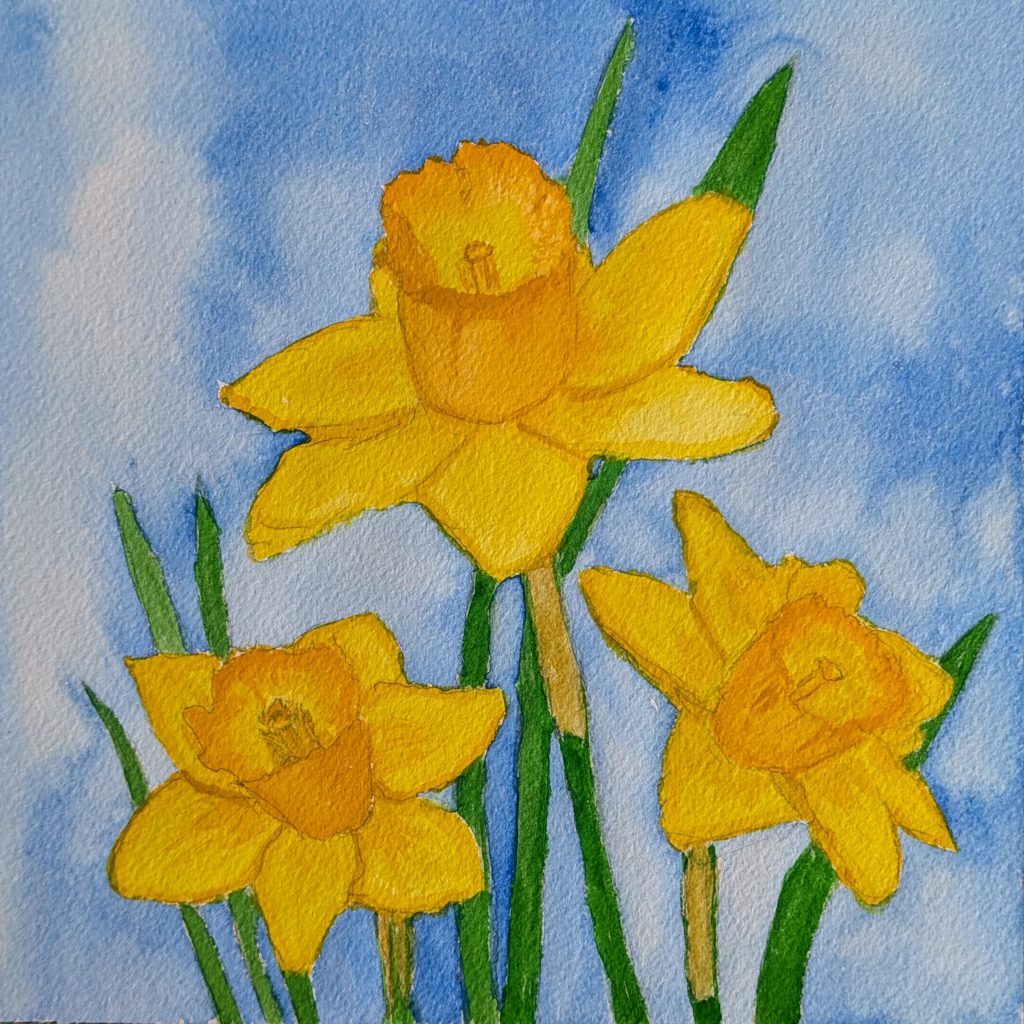 Drei Osterglocken Aquarell